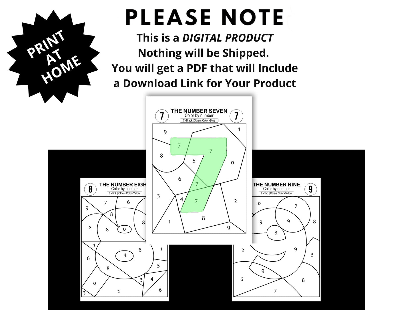 Color By Number 0-9 Activity: Pre-K Coloring Pages (Digital Download)